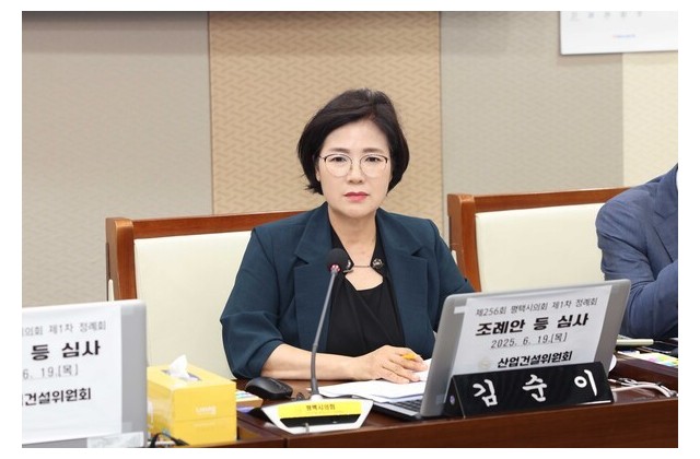 [인터뷰] 평택시의회 김순이 의원 “행정의 본질은 시민…